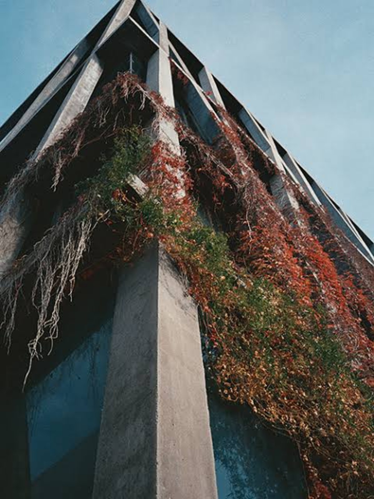 Quand la photographie sublime l'espace : retour sur le workshop des 2ème année de Bachelor Design d'Espace