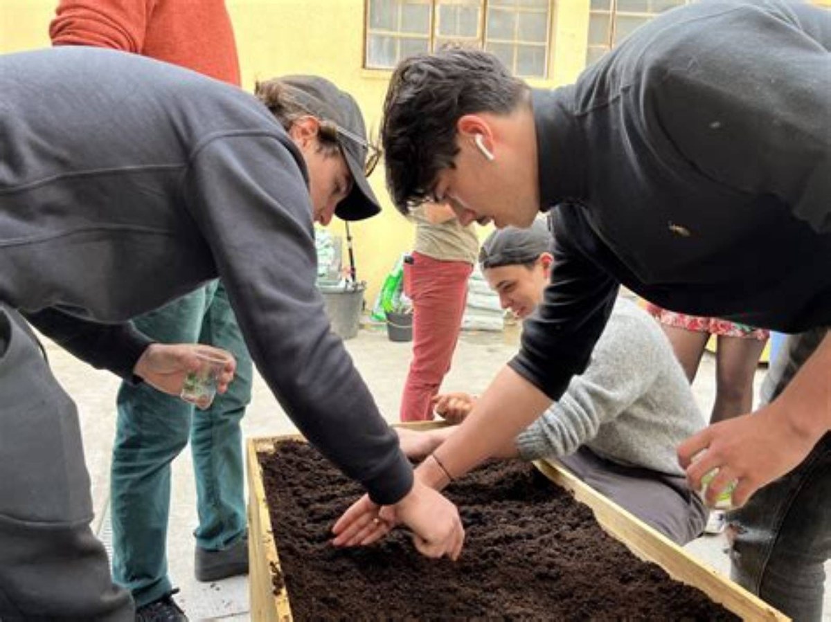 Un potager partagé pour lutter contre la précarité étudiante